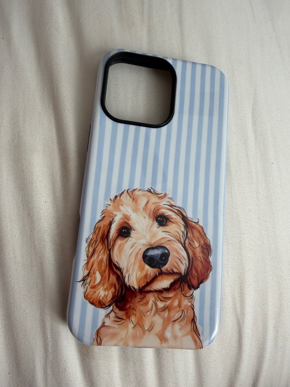 iphone 16 pro max case